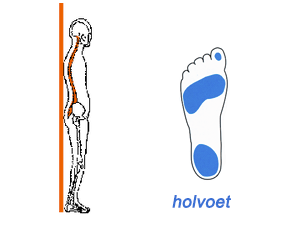 holvoet