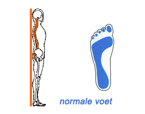 normale voet